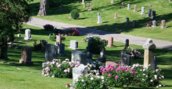 Moles Farewell Tributes